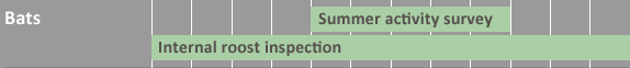bats survey dates